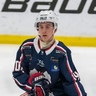 Joel Hammarstedt